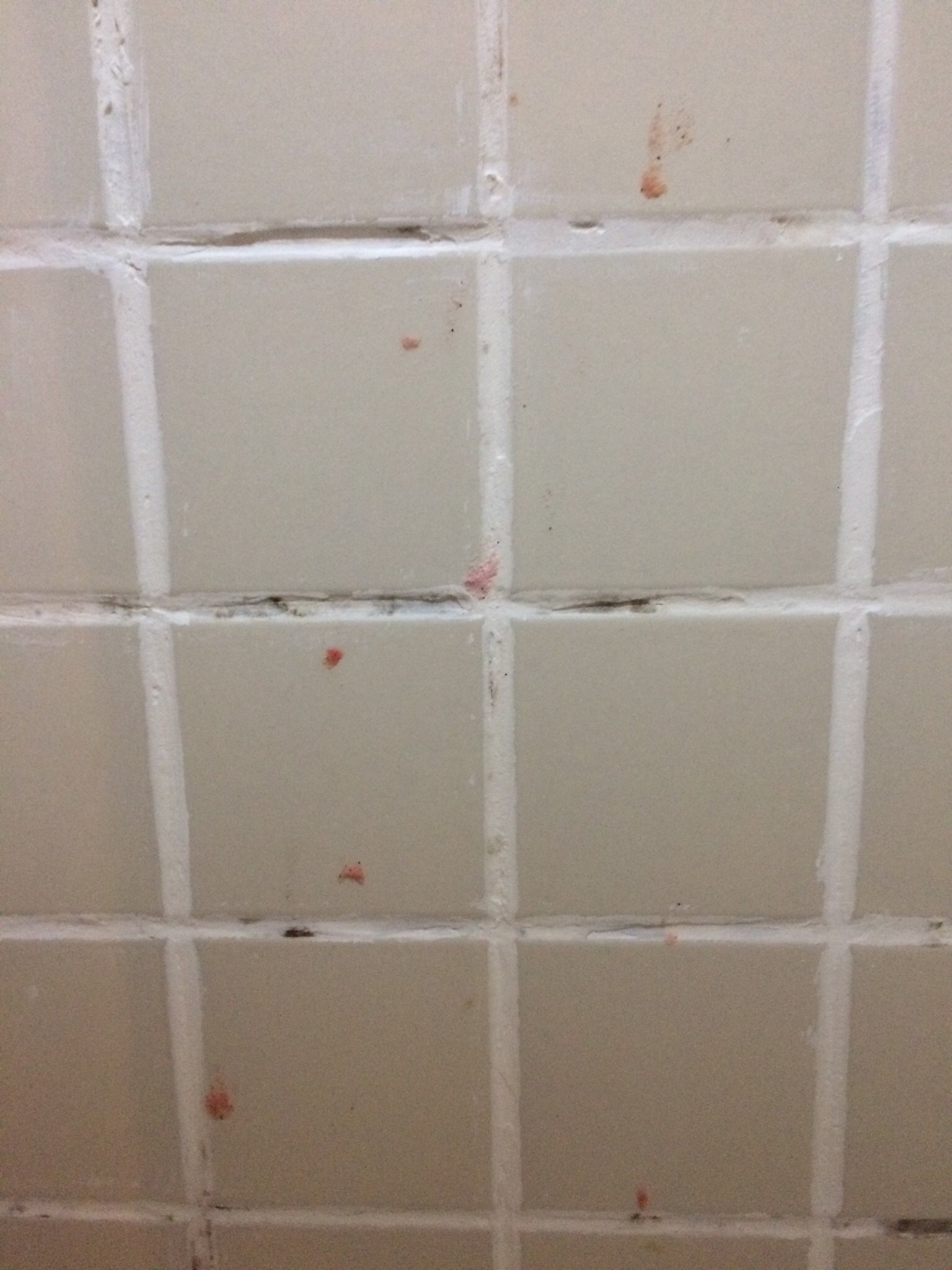 Fênix Hotel Limeira-官方