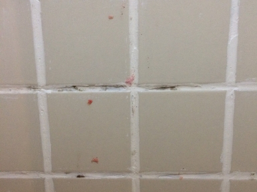 Fênix Hotel Limeira主图