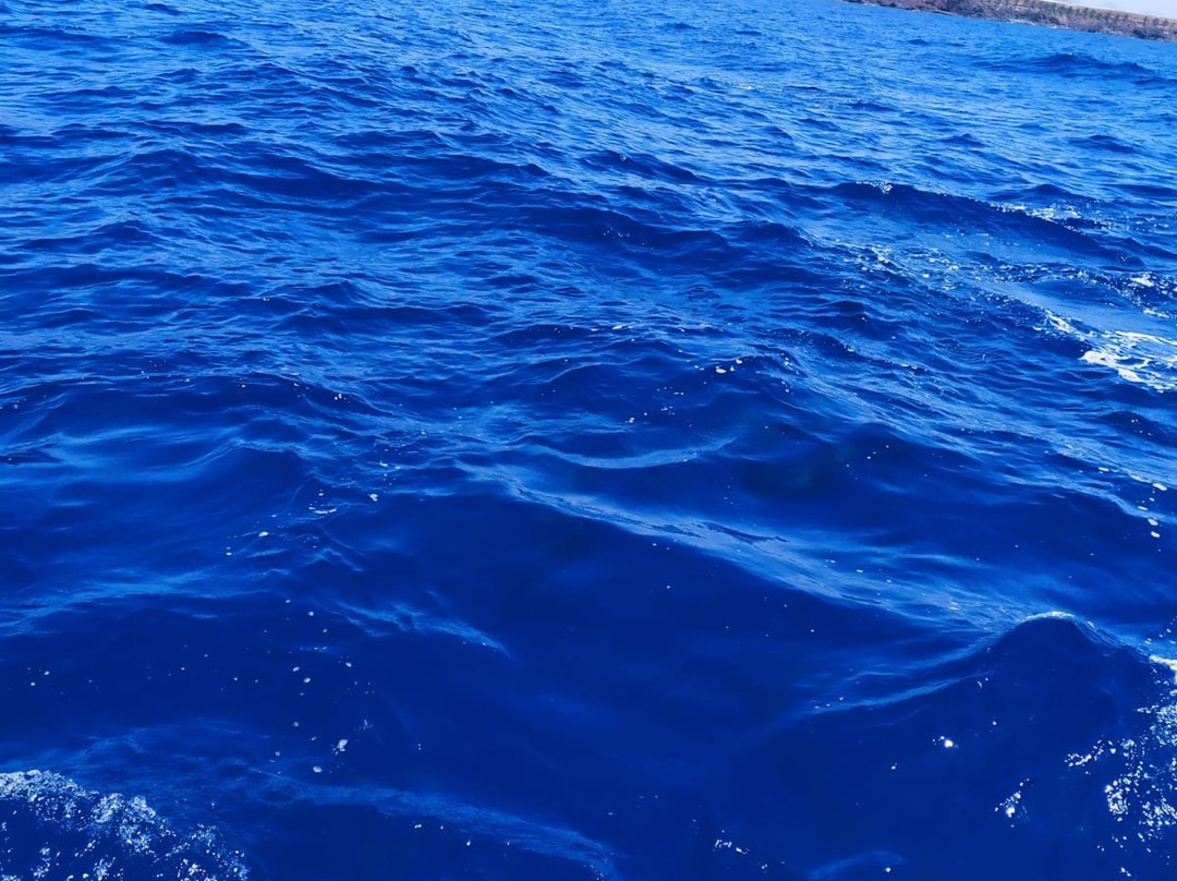 Tonina Cruises-拉斯加勒塔斯必去景点