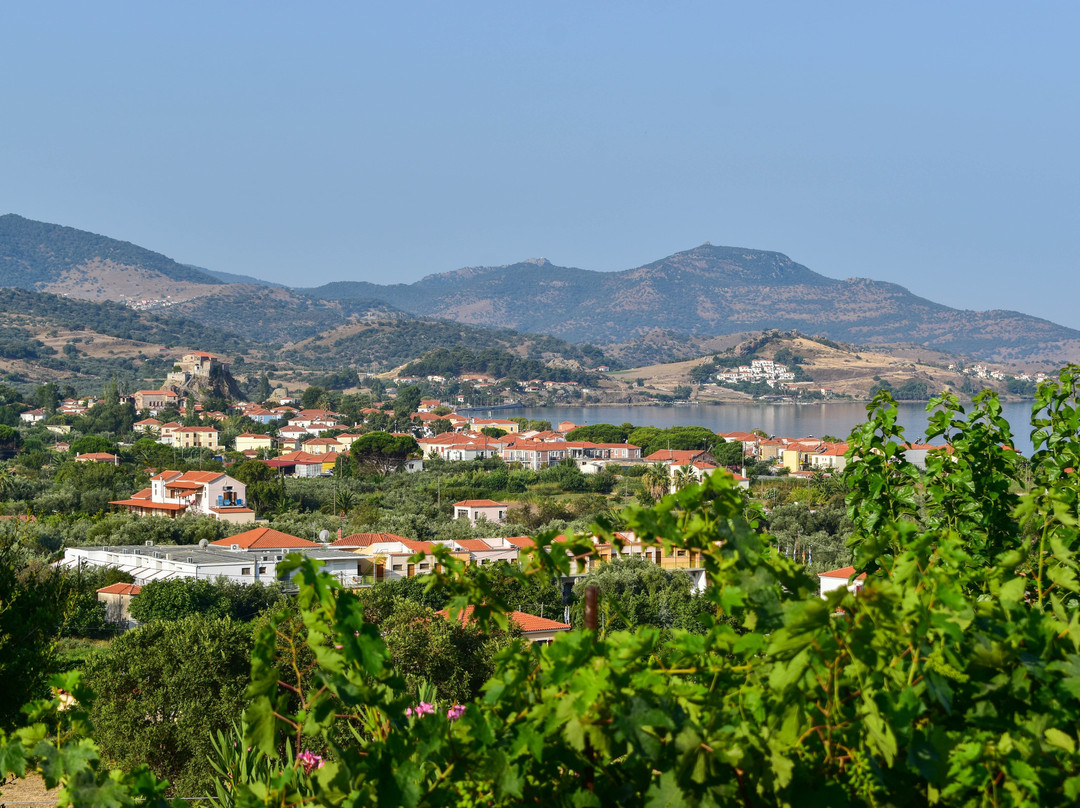 Troyan Hill Apartments主图