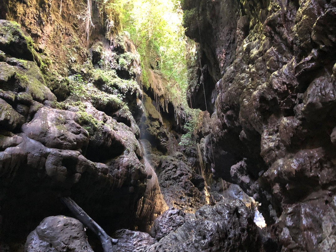 Dindin Tour - Day Tours-庞岸达兰必去景点