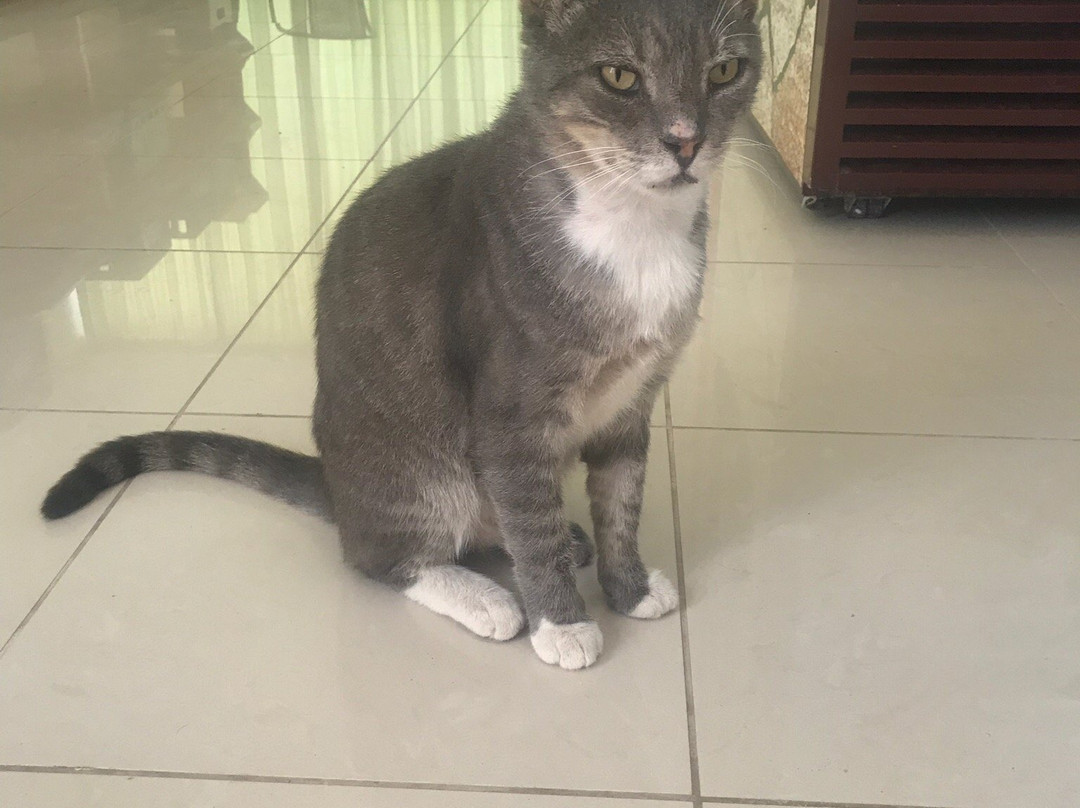 Chrisanna Apartments & Studios主图