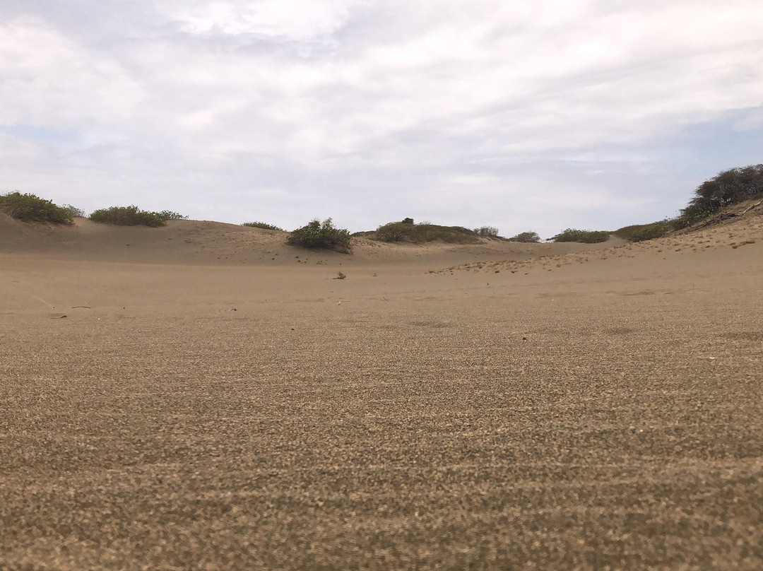 Dunas de Bani-Bani必去景点