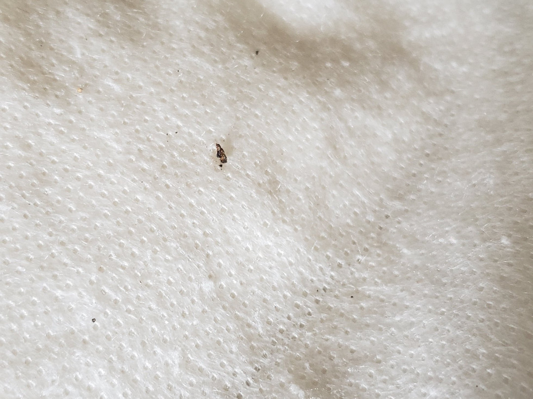 Super 8 by Wyndham Prestonsburg主图