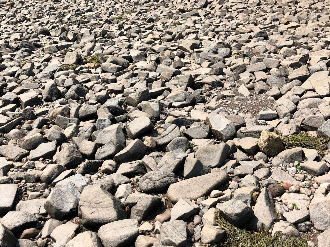 Partridge Island景点图片