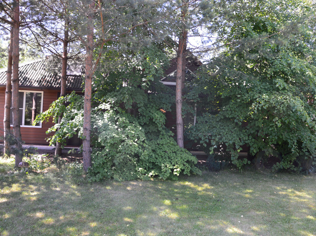 Guest House in Domodedovo主图