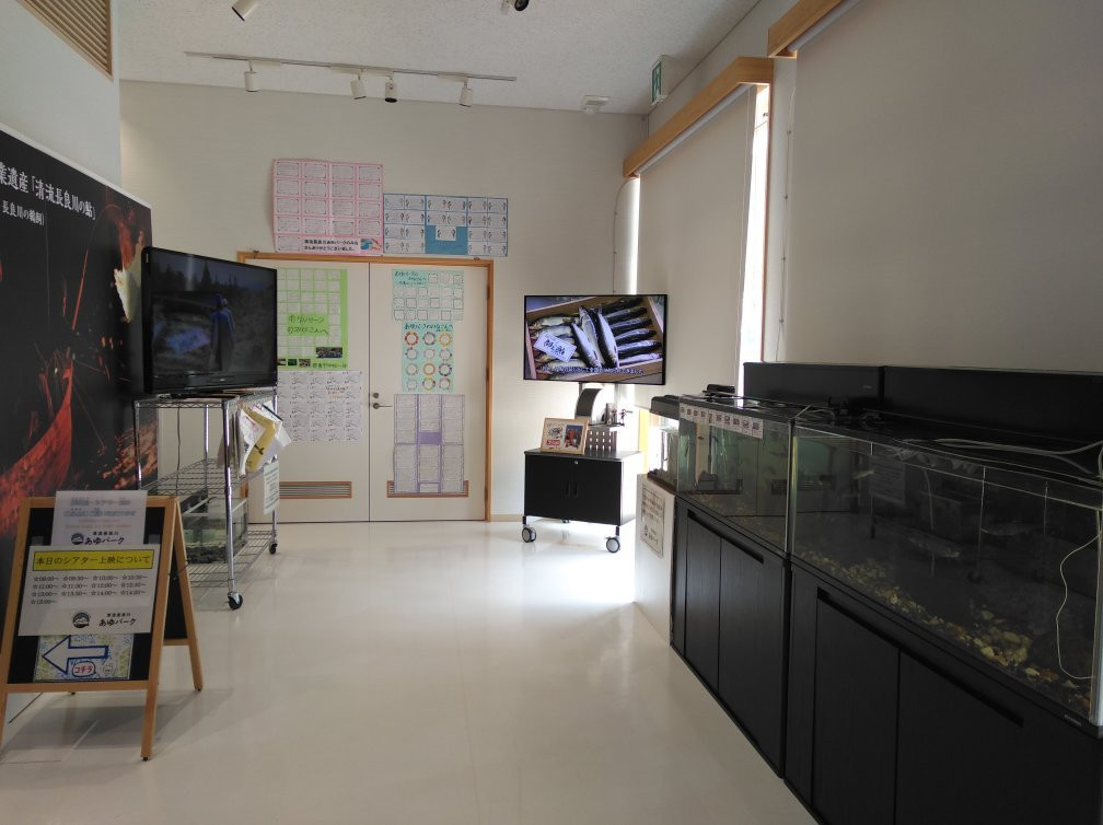 Seiryu Nagara River Ayu Park-郡上市必去景点