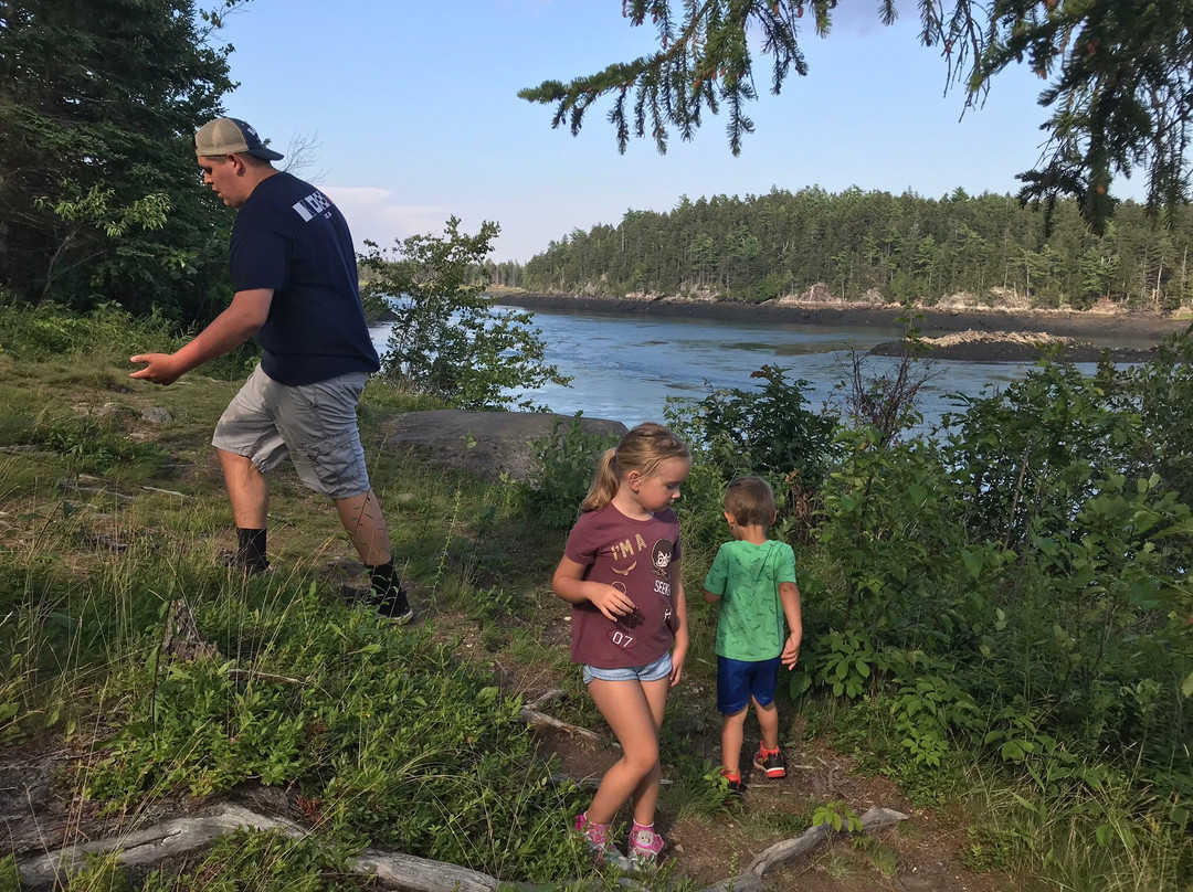 Reversing Falls Park-Pembroke必去景点