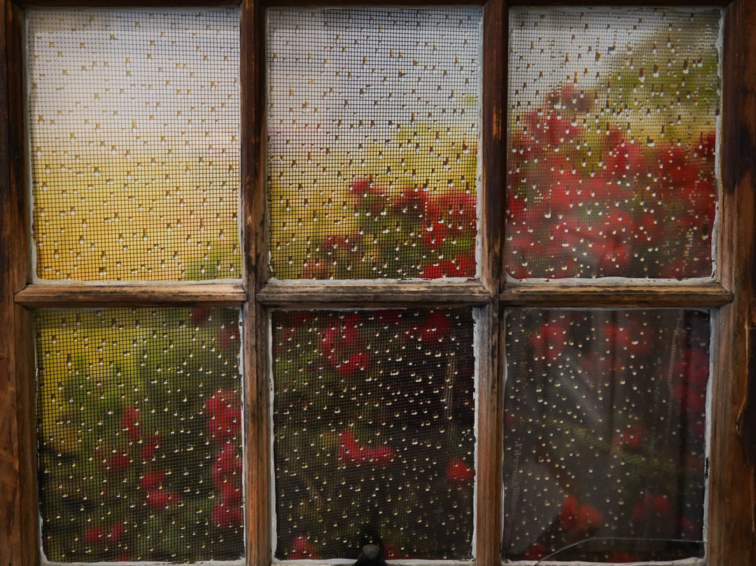 Spring Street Gallery-新肖勒姆必去景点