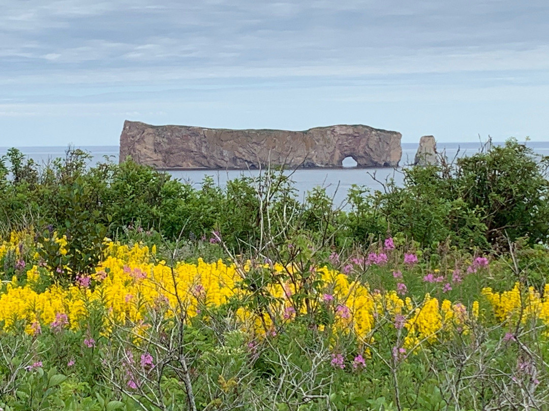 The Capitain's B&B主图