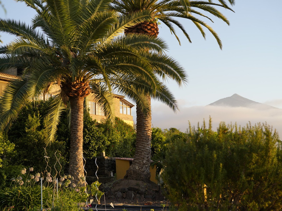 Finca Casa Vieja主图