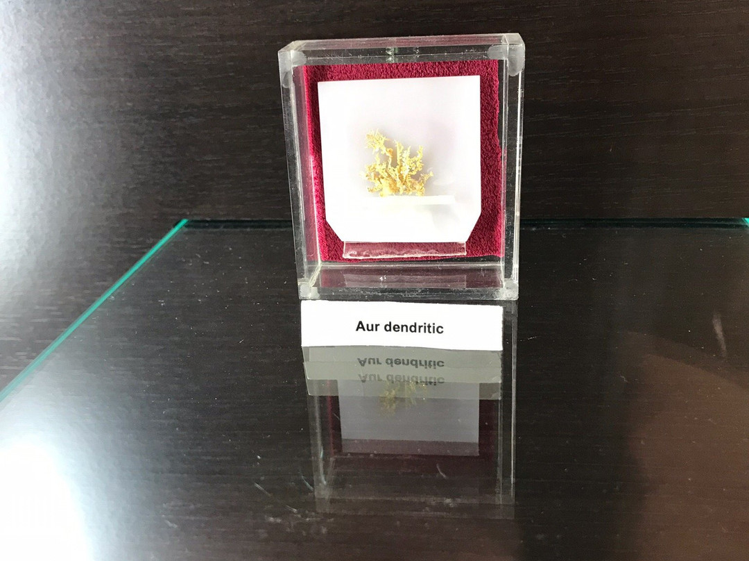 The Gold Museum-Brad必去景点