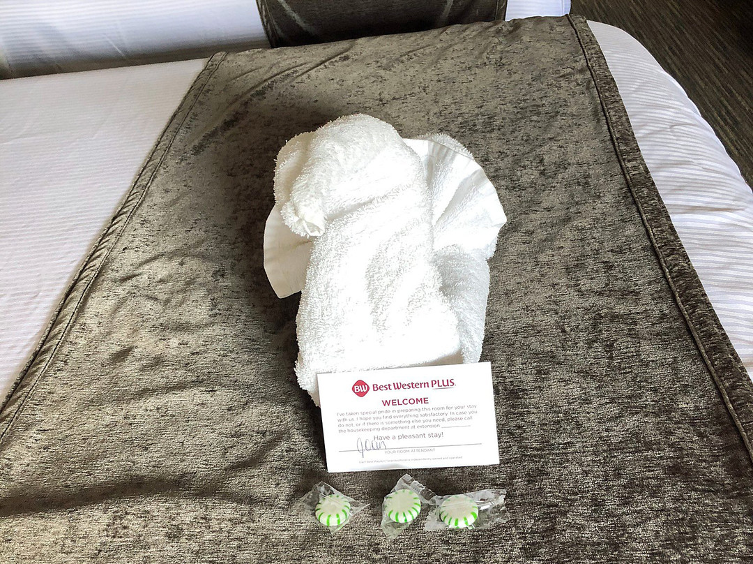 西佳加着陆风景客栈及套房主图