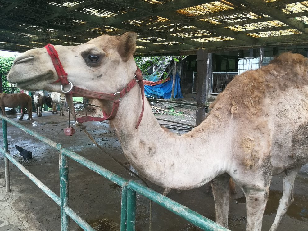 Paradizoo-Mendez必去景点