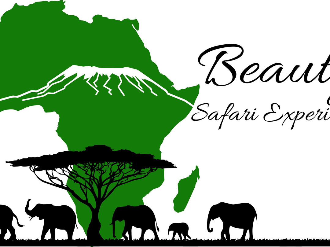 Beauty Safari Experience-姆万扎必去景点