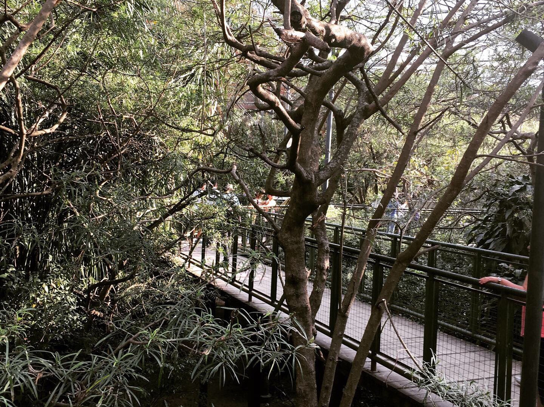 Parque Nacional Noel Kempff Mercado-圣克鲁斯省必去景点