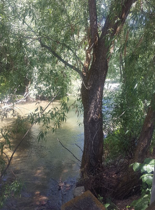 Logan River Trail-洛根必去景点