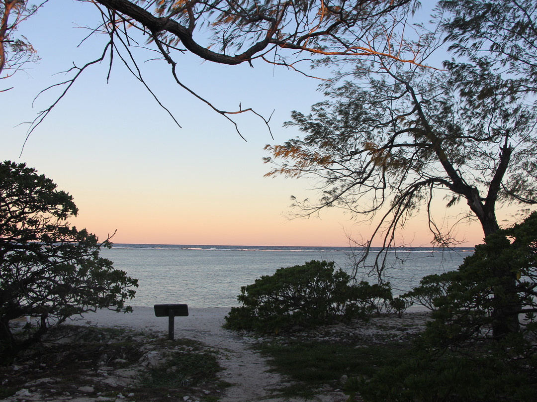 伊丽特女士岛度假村主图
