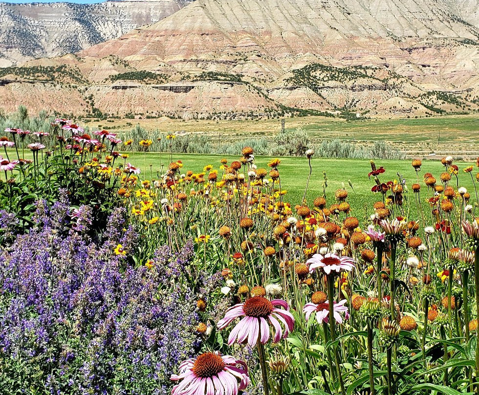 Battlement Mesa Golf-Parachute必去景点