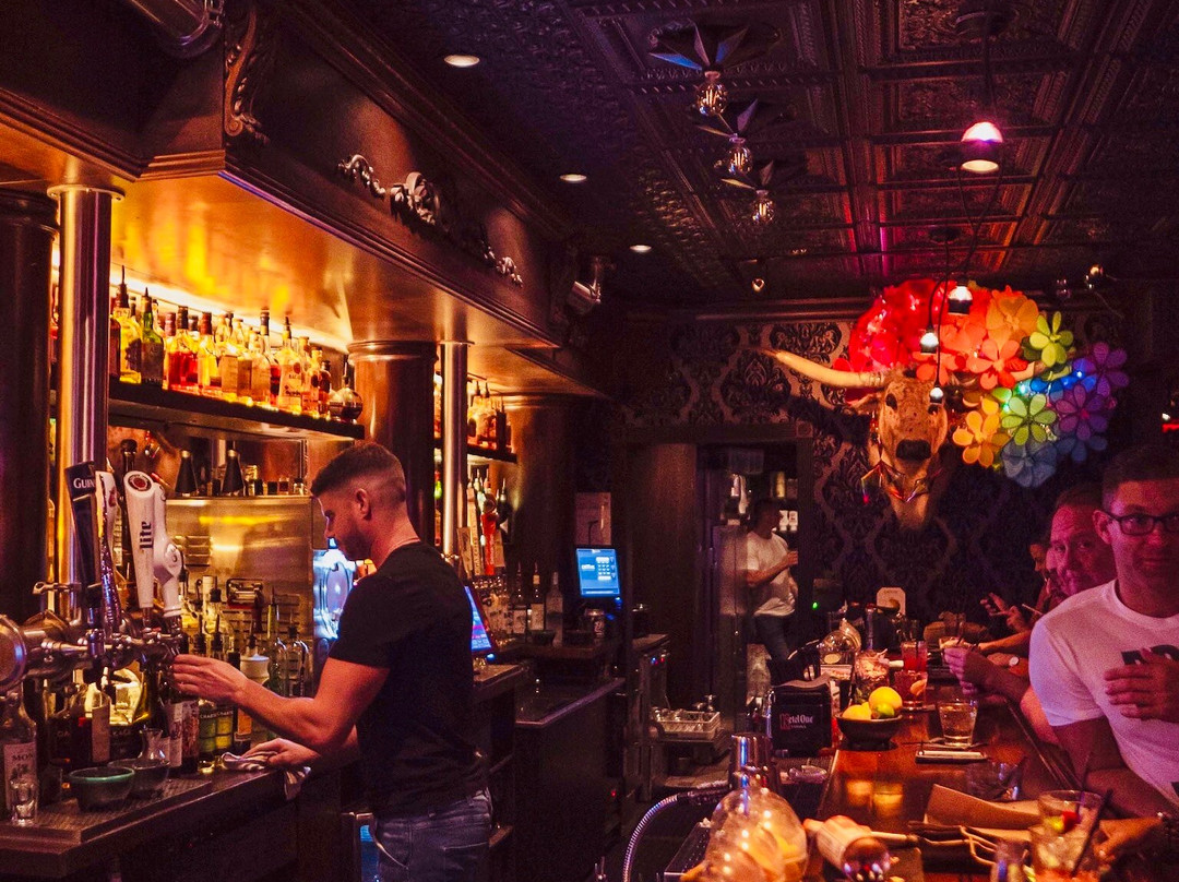 DrYnk Bar & Lounge-Wilton Manors必去景点