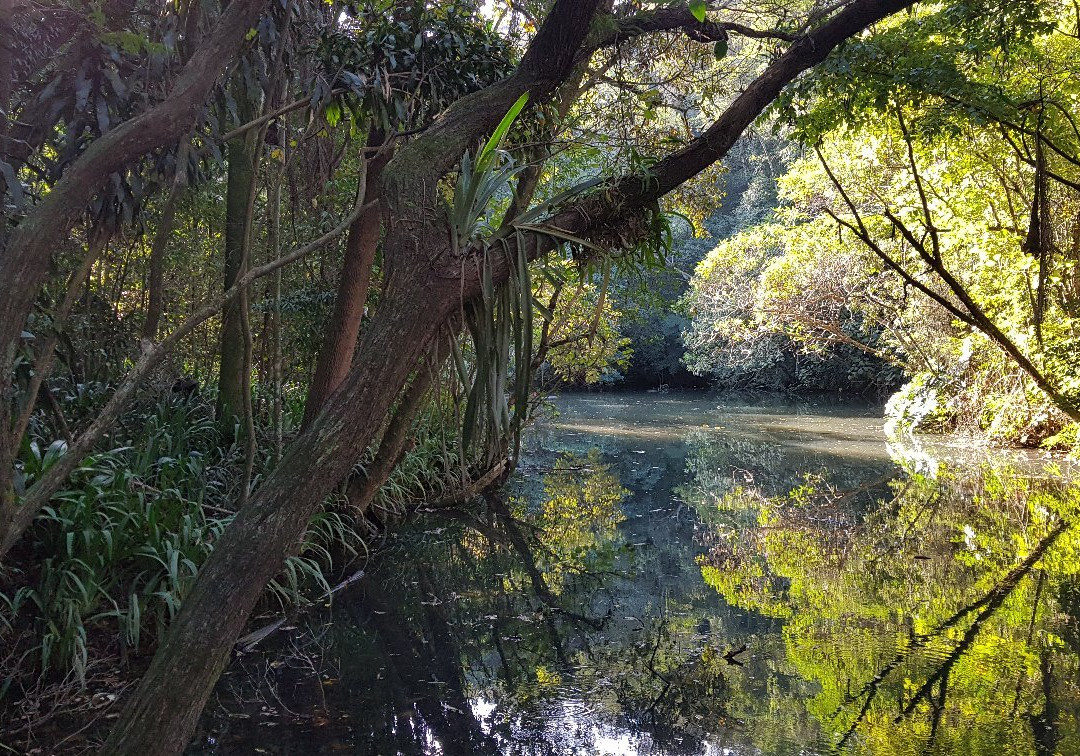 Alfredo Volpi Park-圣保罗必去景点