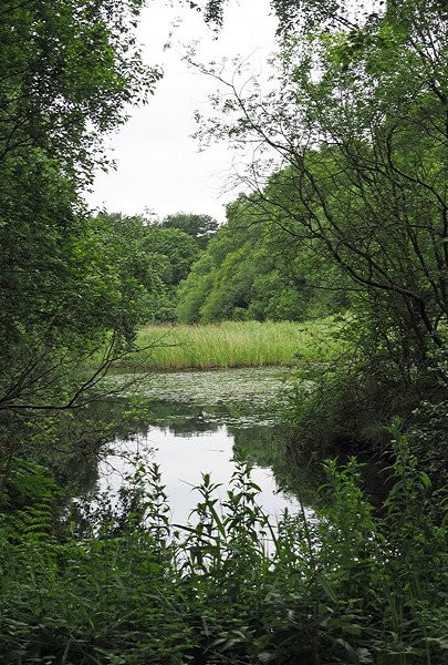 Messingham Sand Quarry-Messingham必去景点