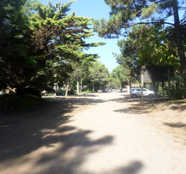 Paseo de Compras景点图片