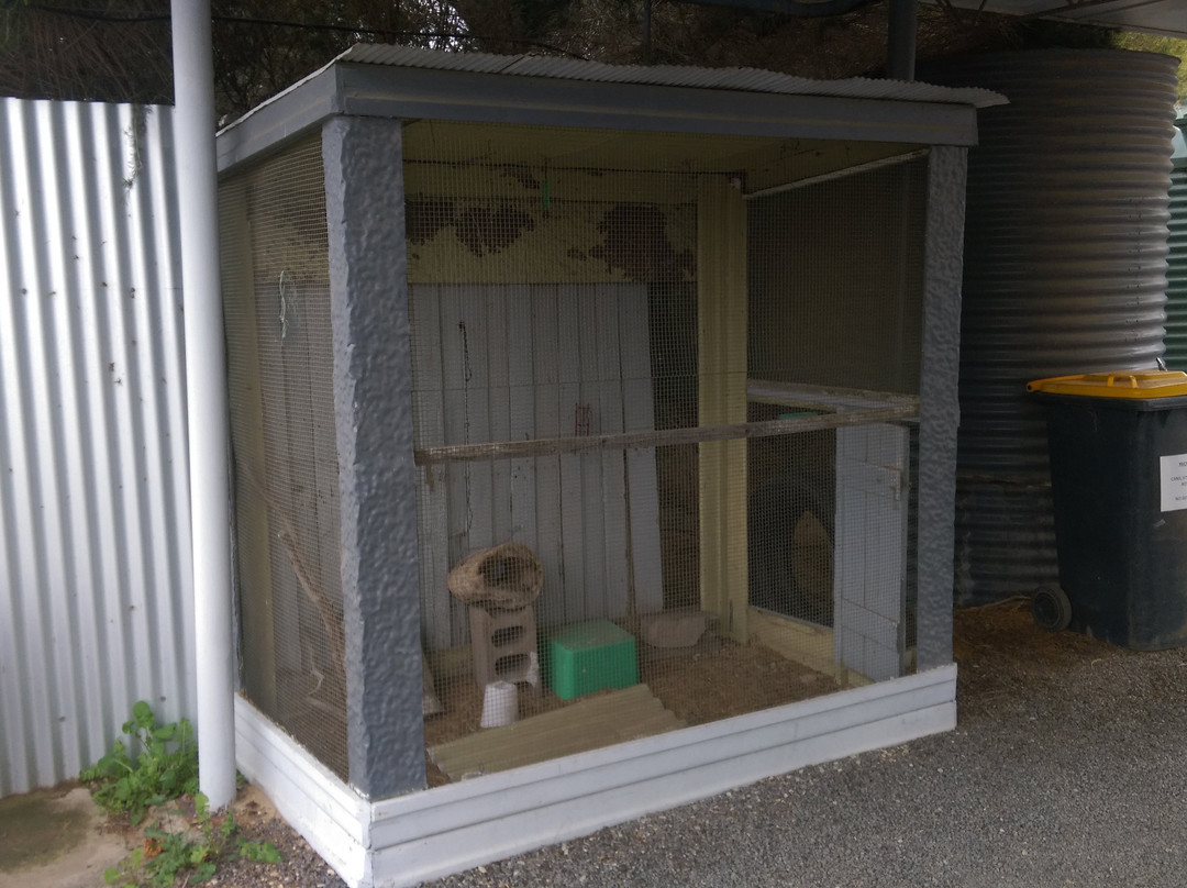 Dimboola Motel主图