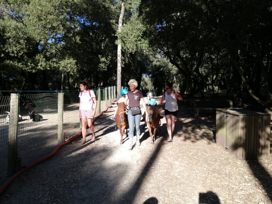 Les Poneys d'O Village-La Tranche sur Mer必去景点