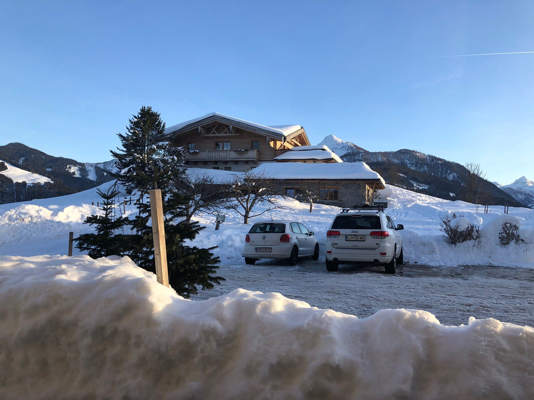 Hotel Winterbauer主图