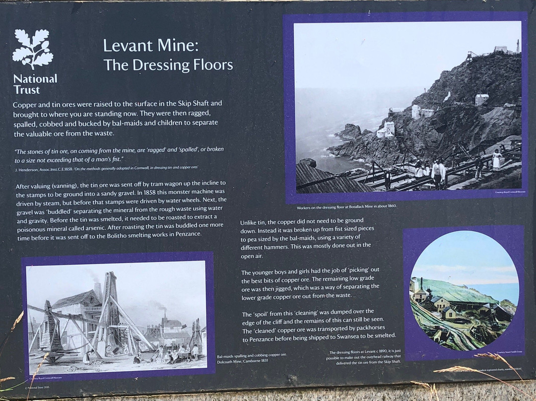 Levant Mine and Beam Engine景点图片