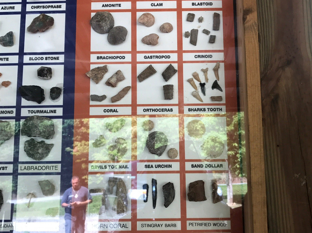 Dukes Creek Gold & Ruby Mines-海伦必去景点