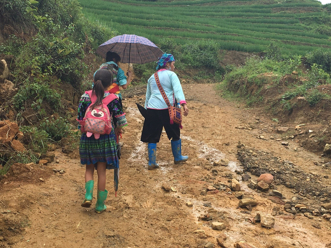 Sapa Tours Booking-河内必去景点