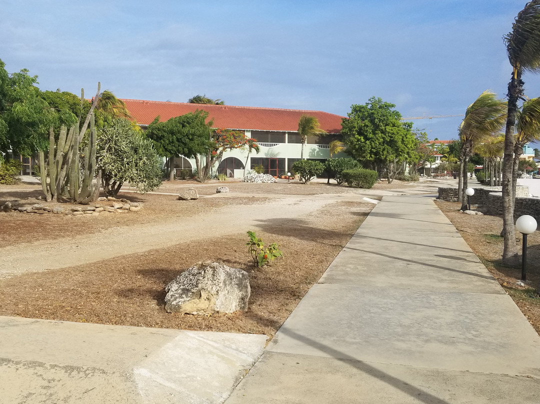 Sand Dollar Bonaire主图