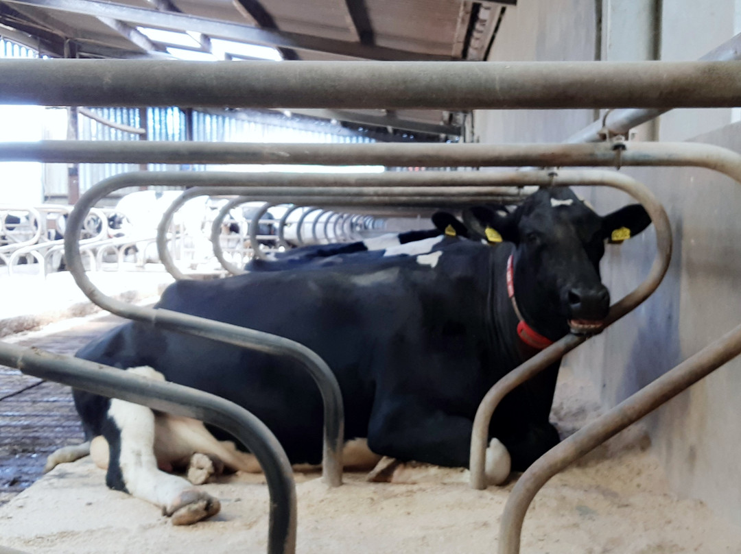 Laigh Tarbeg Farmhouse Bed And Breakfast主图