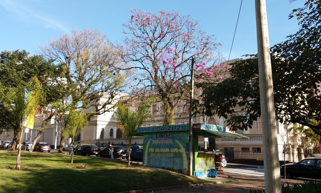 Praça Carlos Gomes景点图片