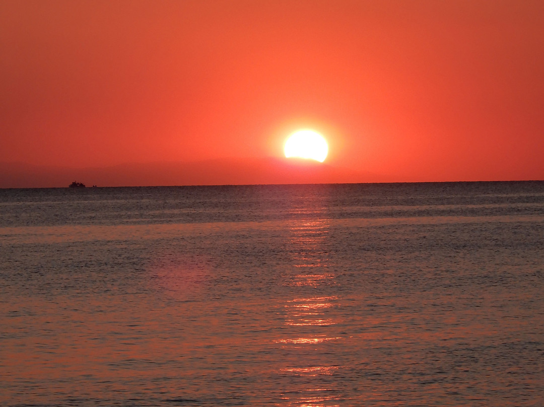 Olympion Sunset主图