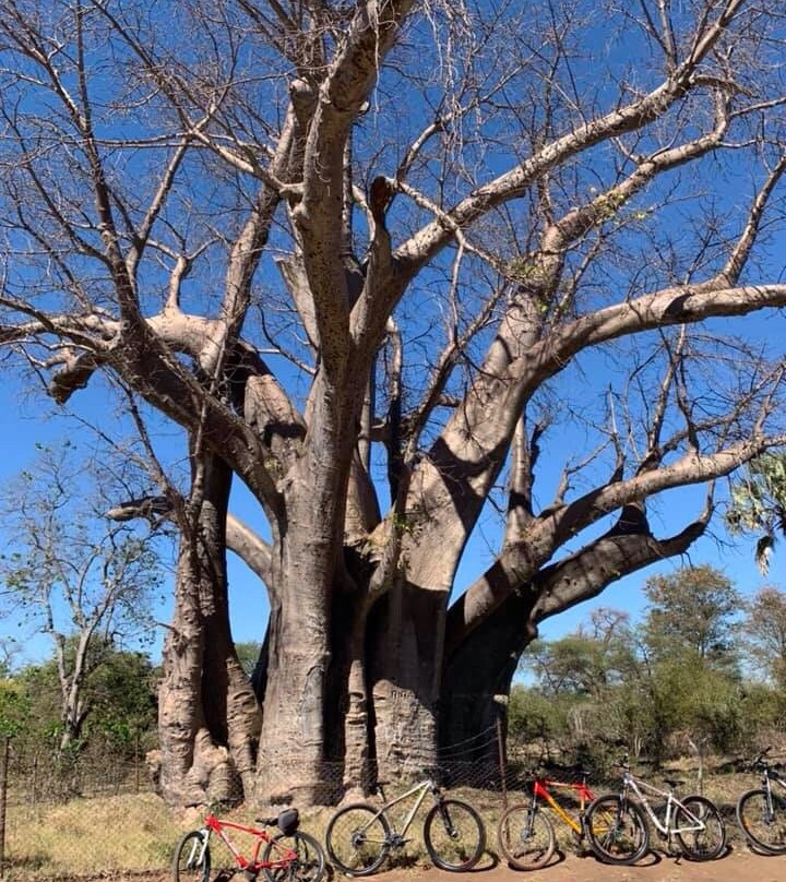 Royalty Travel Victoria Falls-维多利亚瀑布必去景点