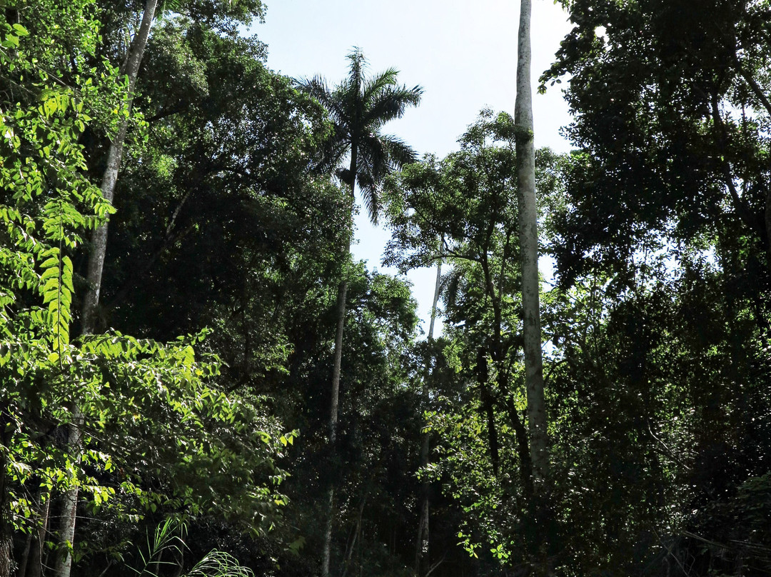 Parque el Cubano景点图片