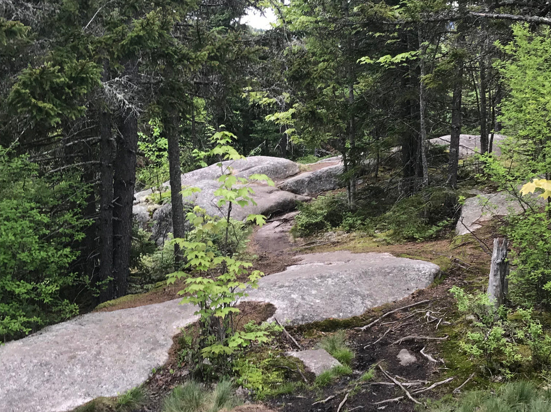 Cobble Hill-普莱西德湖必去景点