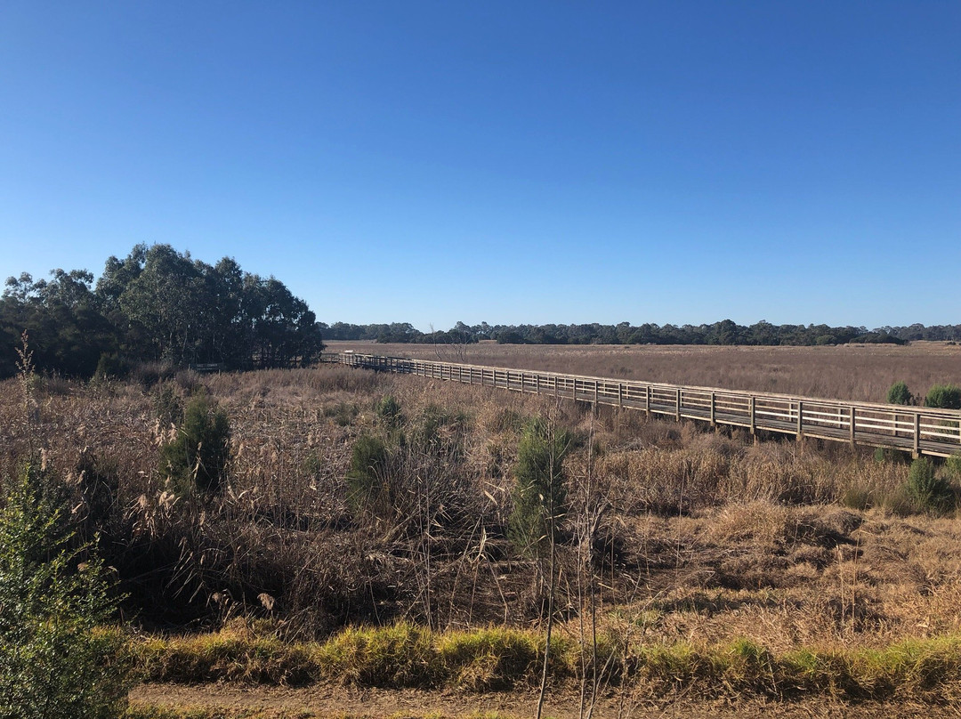 Sale Common Nature Conservation Reserve-塞尔必去景点