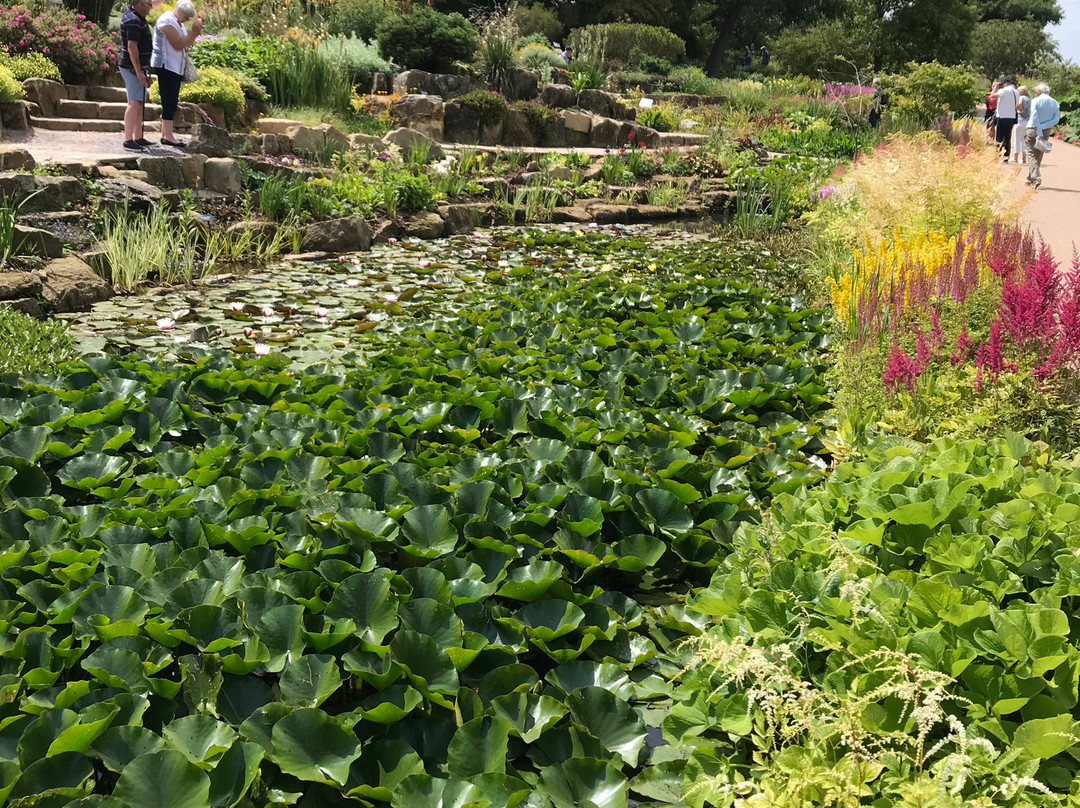 RHS Garden Wisley-Wisley必去景点