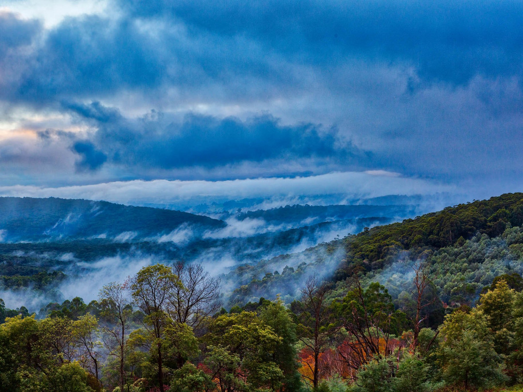 R.J. Hamer Arboretum-奥林达必去景点