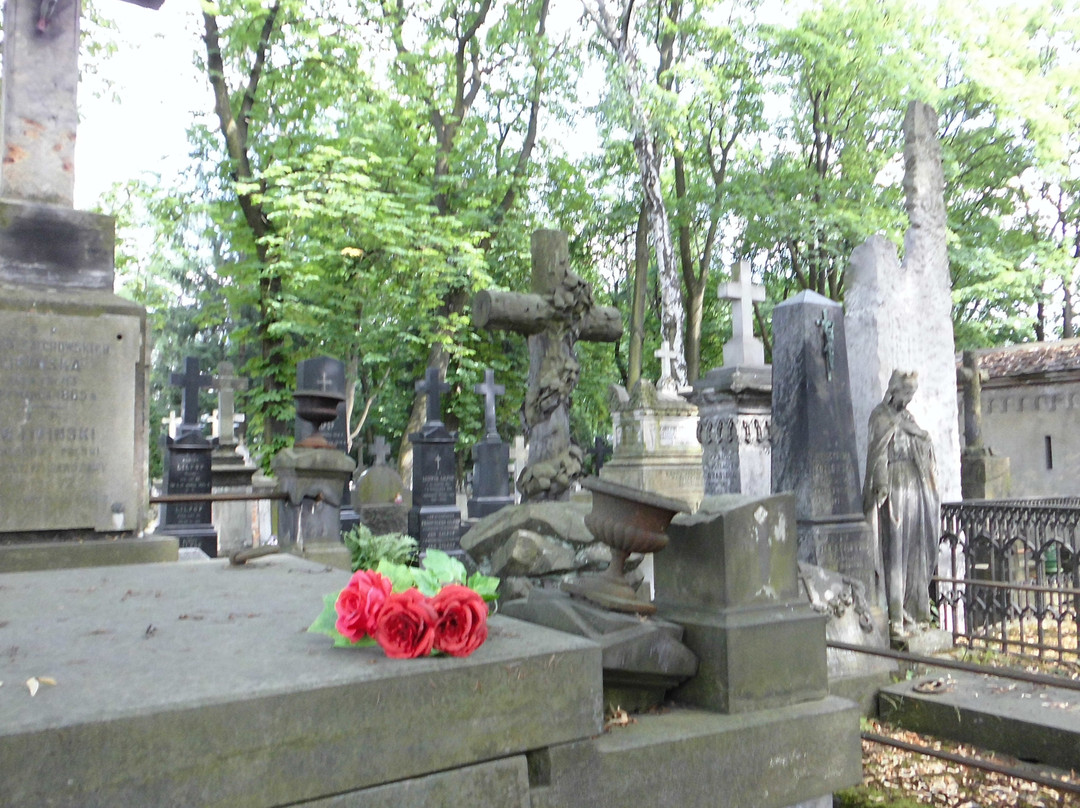 Cmentarz Wojskowy na Powazkach景点图片