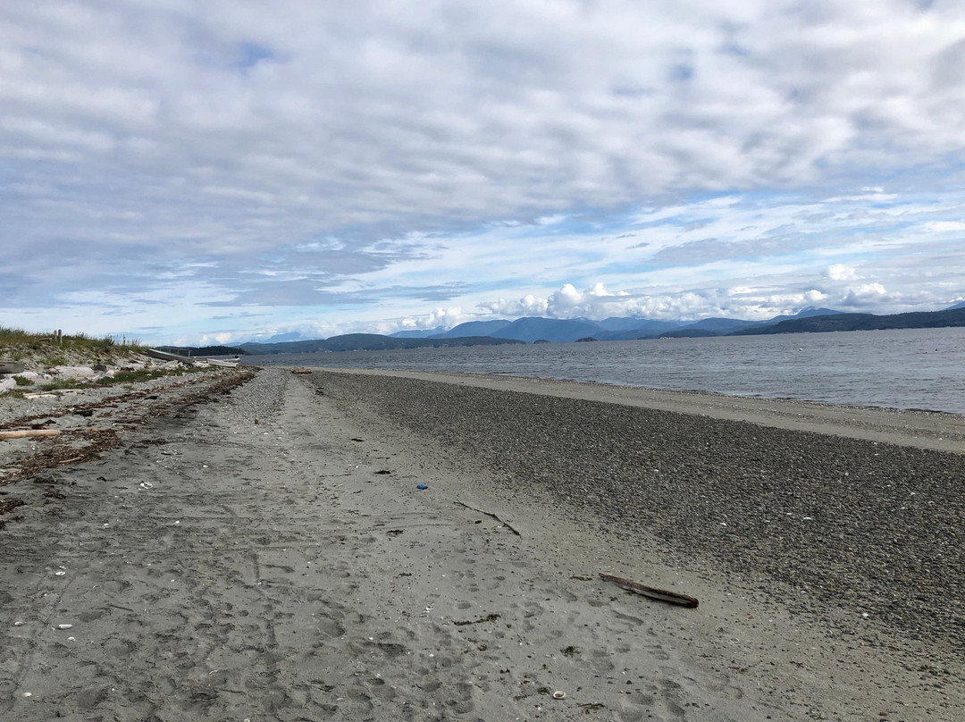 Savary Island Water Taxi-Savary Island必去景点