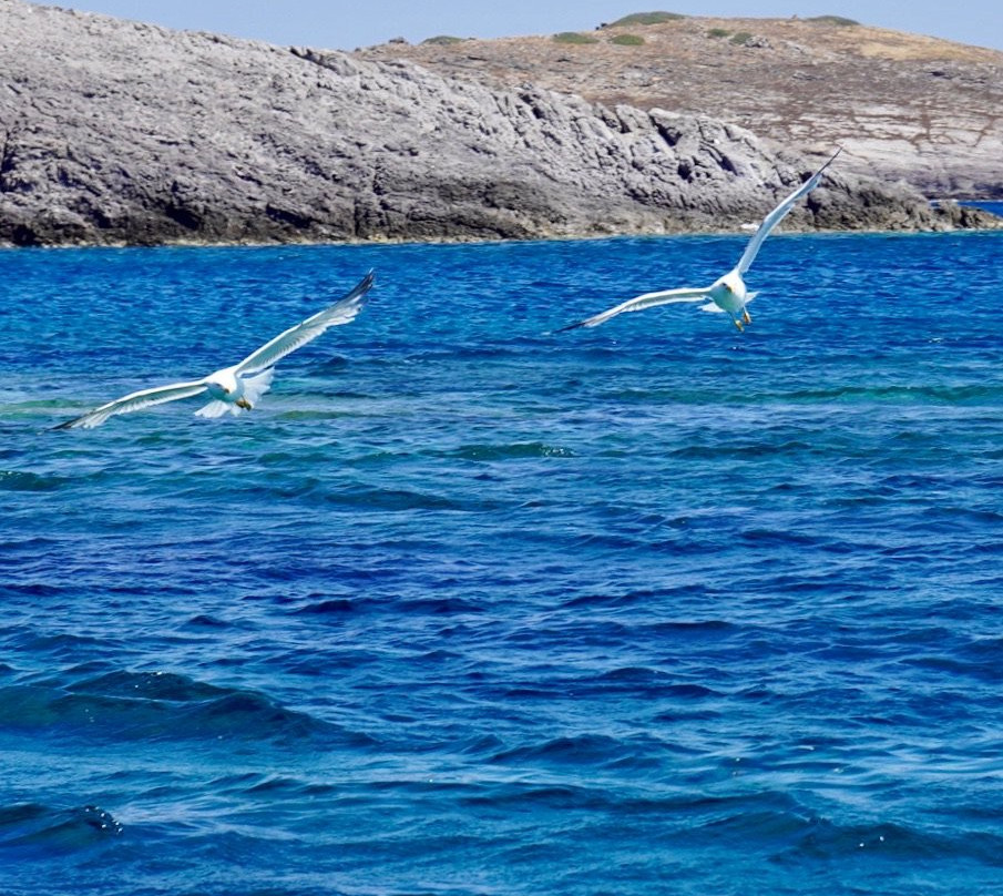 Aegean Sea Quest-帕罗斯岛必去景点