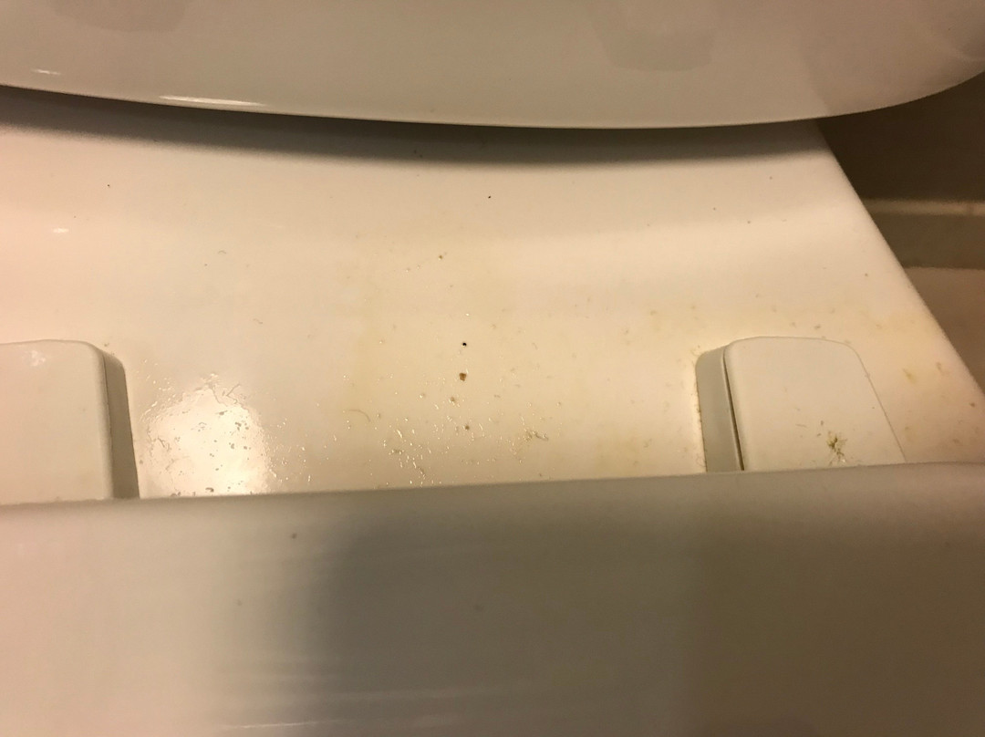 Homewood Suites by Hilton Christiansburg主图