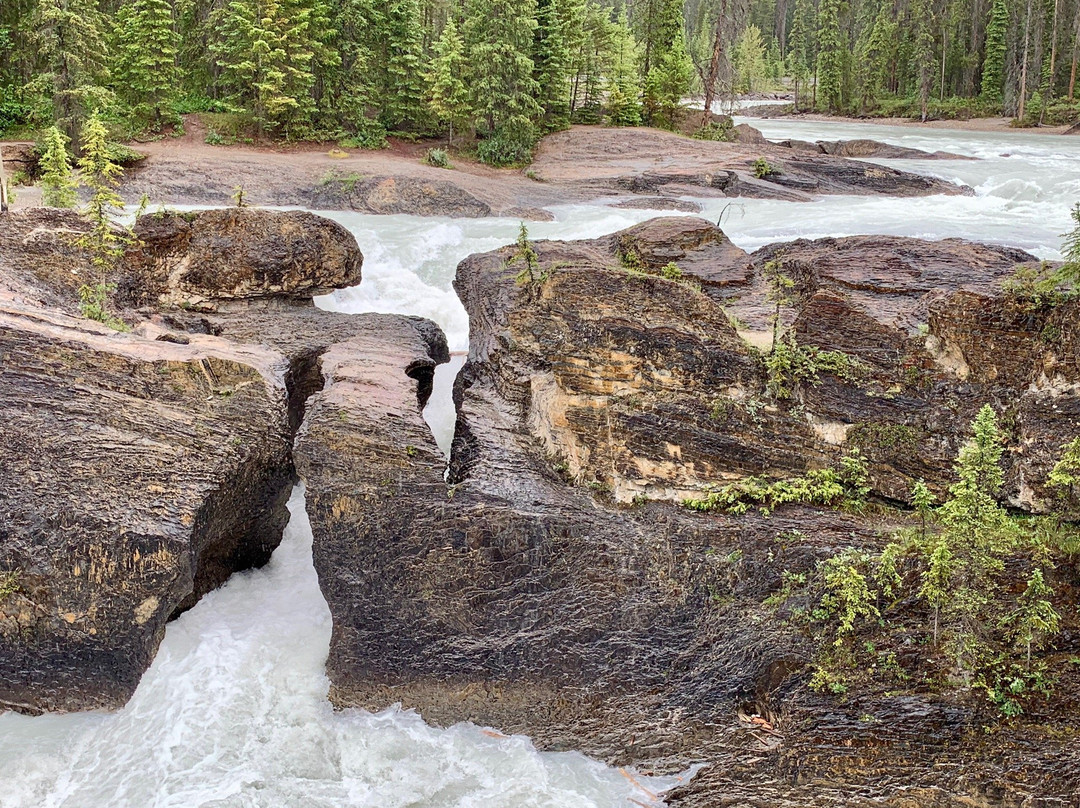 Kicking Horse River景点图片