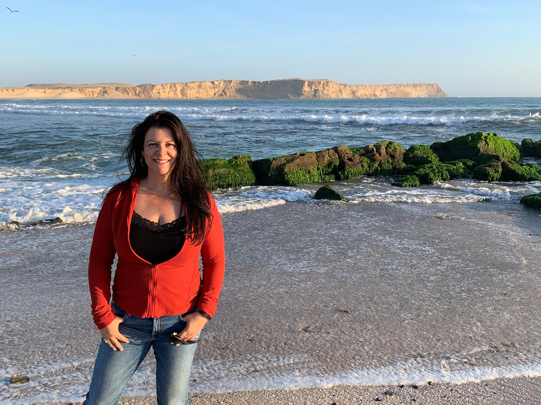 Paracas National Reserve-皮斯科必去景点