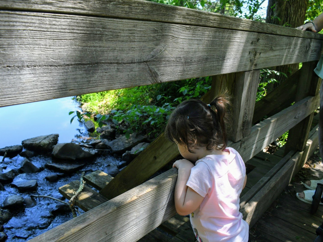 Westmoor Park-西哈特福德必去景点